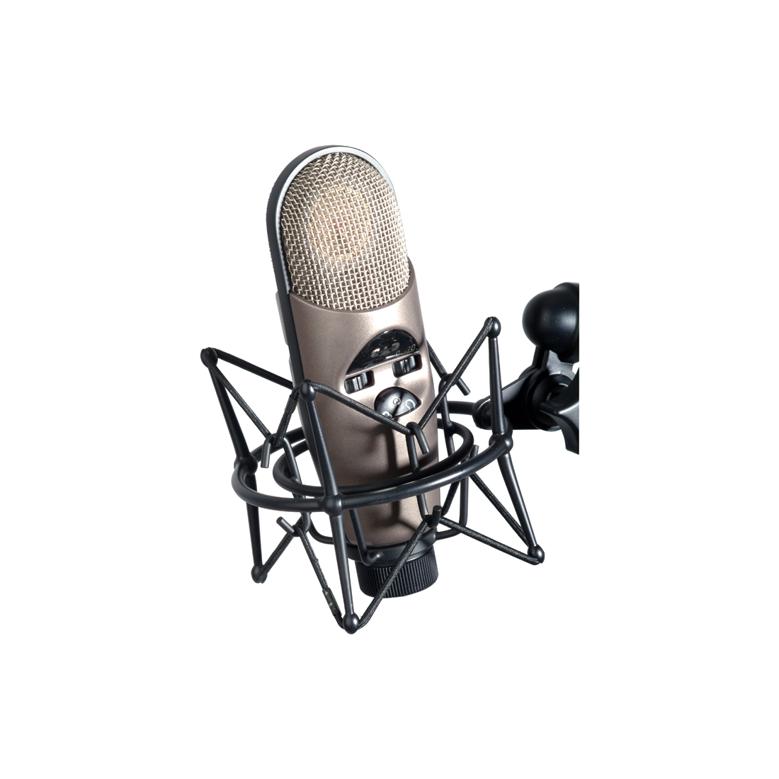 CAD Audio Equitek M179 Large Diaphragm Infinitely Adjustable Polar Pattern Condenser Microphone