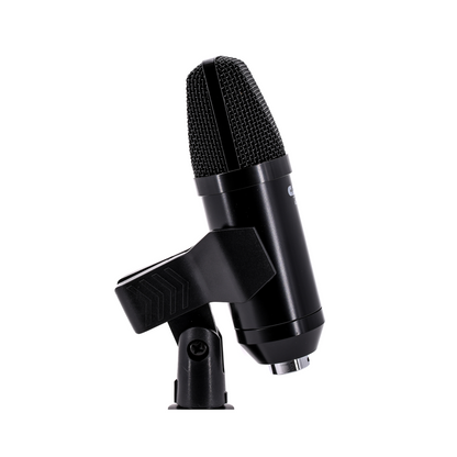 CAD Audio U29 USB Side Address Studio Microphone